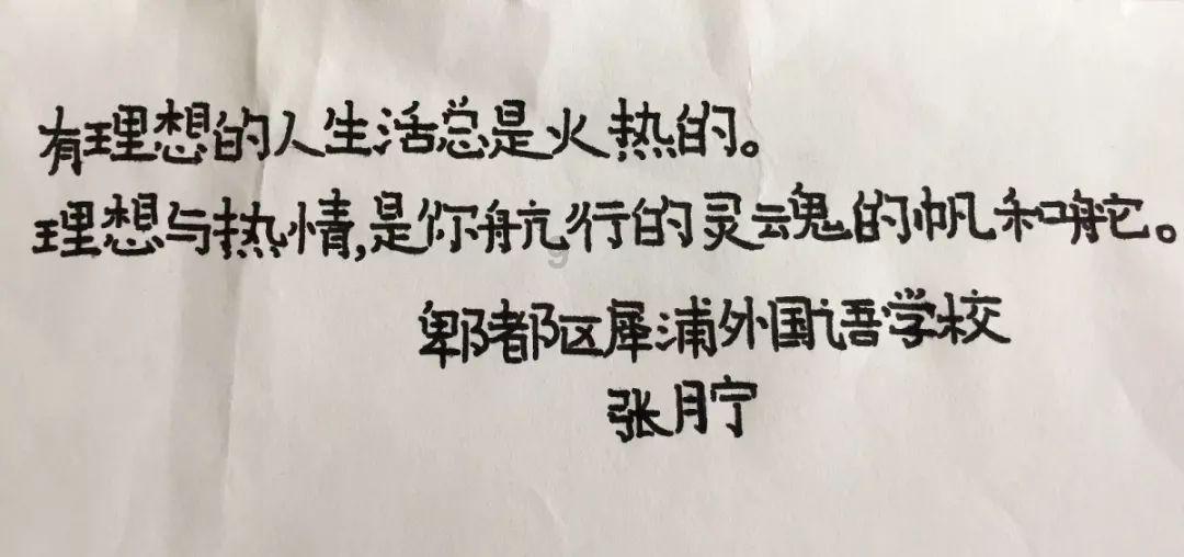 泰迪有白色的吗？